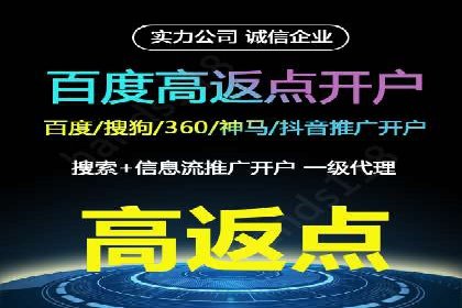 成功案例揭秘：百度包年竞价如何助力企业增长